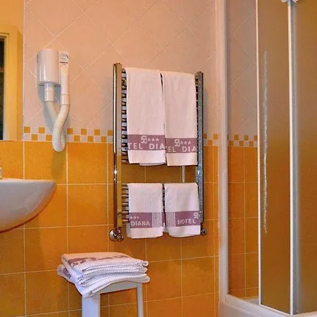 Diana Hotel 3*
